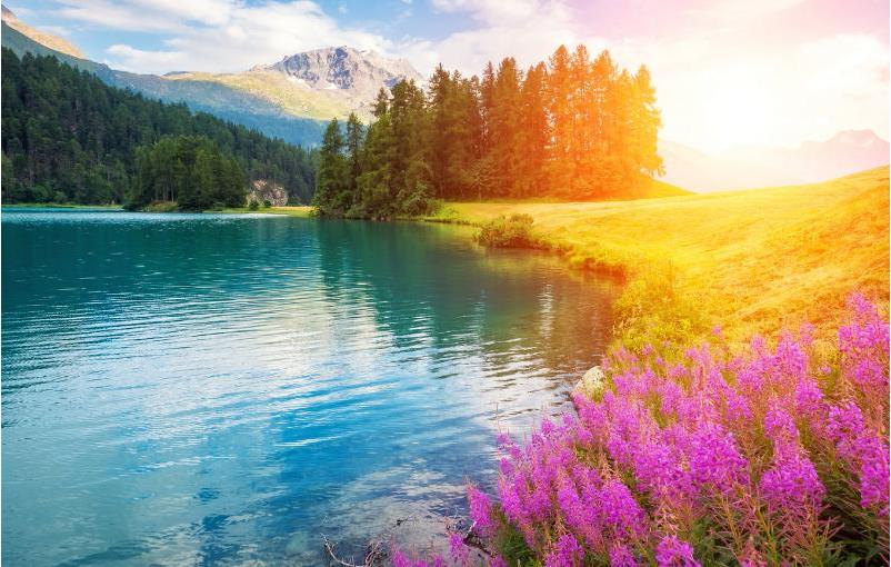 Vue+Element实现服务调用el-dialog弹窗